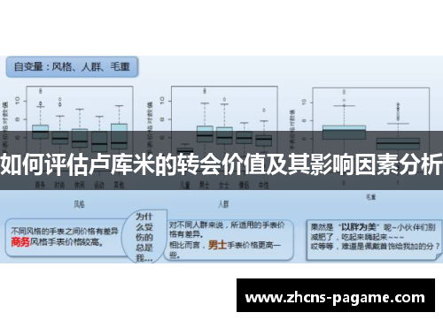 如何评估卢库米的转会价值及其影响因素分析
