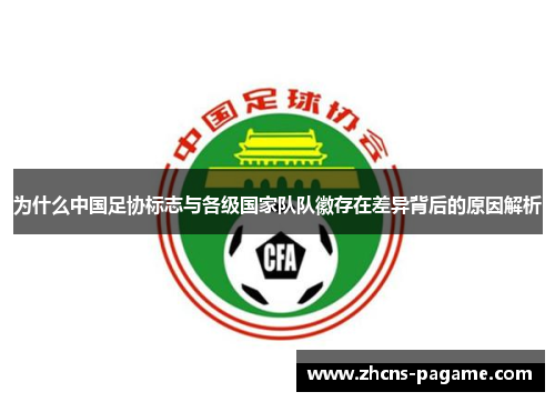 为什么中国足协标志与各级国家队队徽存在差异背后的原因解析