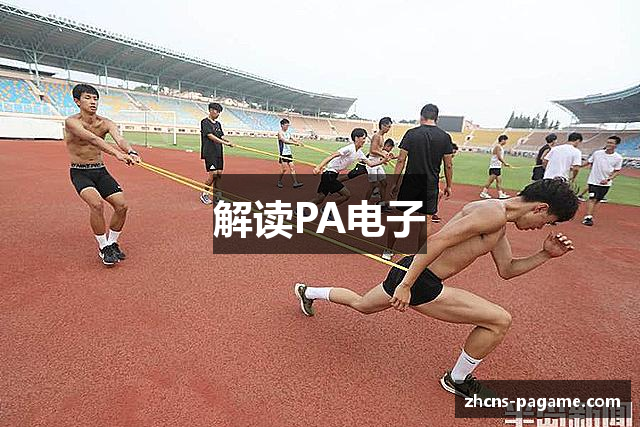 解读PA电子
